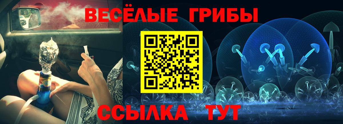 Галлюциногенные грибы GOLDEN TEACHER  Вход с VPN  Муром  хочу   Псилоцибиновые грибы мухоморы 